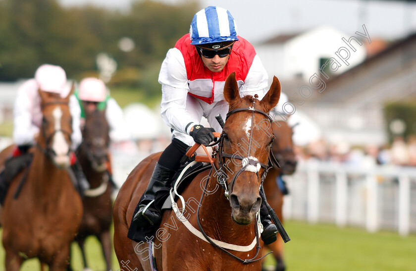 Soldier-In-Action-0005 
 SOLDIER IN ACTION (Silvestre De Sousa) wins The Royal Sussex Regiment Hanidcap
Goodwood 4 Sep 2018 - Pic Steven Cargill / Racingfotos.com