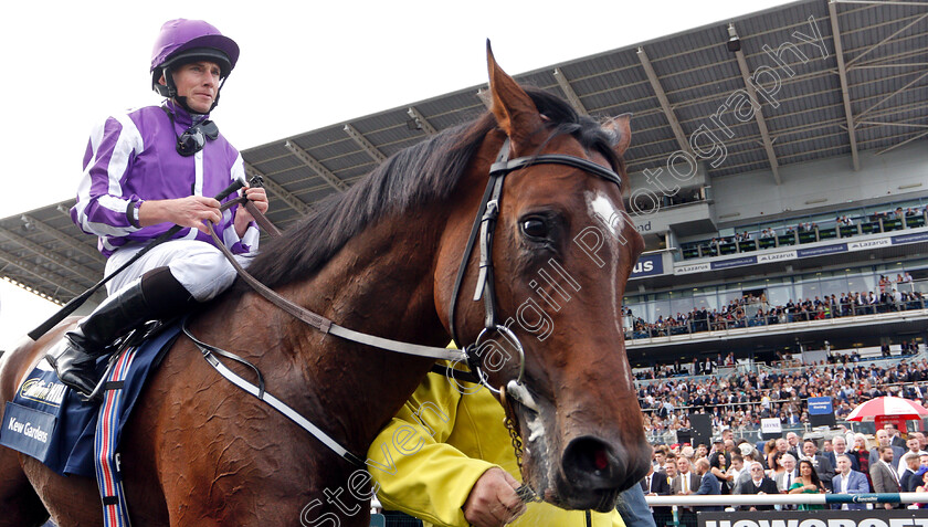 Kew-Gardens-0011 
 KEW GARDENS (Ryan Moore) after The William Hill St Leger
Doncaster 15 Sep 2018 - Pic Steven Cargill / Racingfotos.com