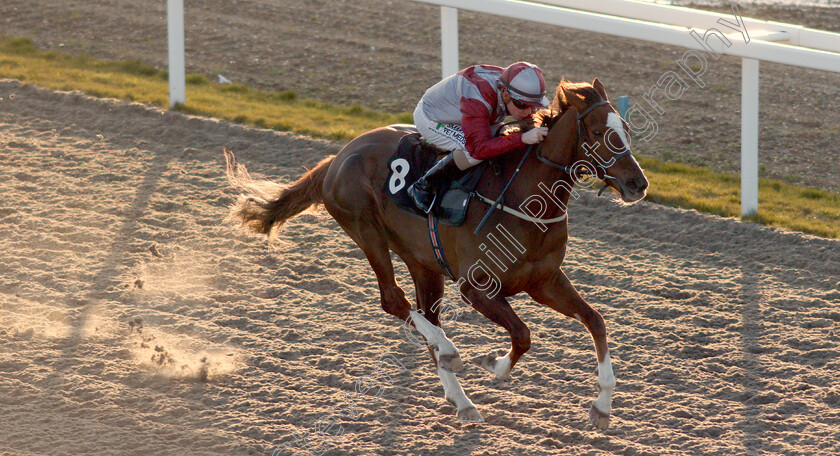 Estrela-Star-0003 
 ESTRELA STAR (Kieran O'Neill) wins The Book Online At chelmsfordcityracecourse.com Handicap
Chelmsford 11 Feb 2020 - Pic Steven Cargill / Racingfotos.com