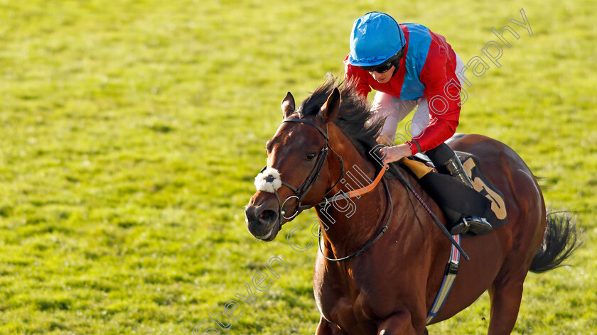 Bay-Bridge-0008 
 BAY BRIDGE (Ryan Moore) wins The 888sport James Seymour Stakes
Newmarket 30 Oct 2021 - Pic Steven Cargill / Racingfotos.com