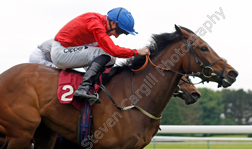 Never-Ending-0001 
 NEVER ENDING (Daniel Tudhope) wins The Betfred Macmillan Race Day Handicap
Haydock 24 May 2024 - Pic Steven Cargill / Racingfotos.com