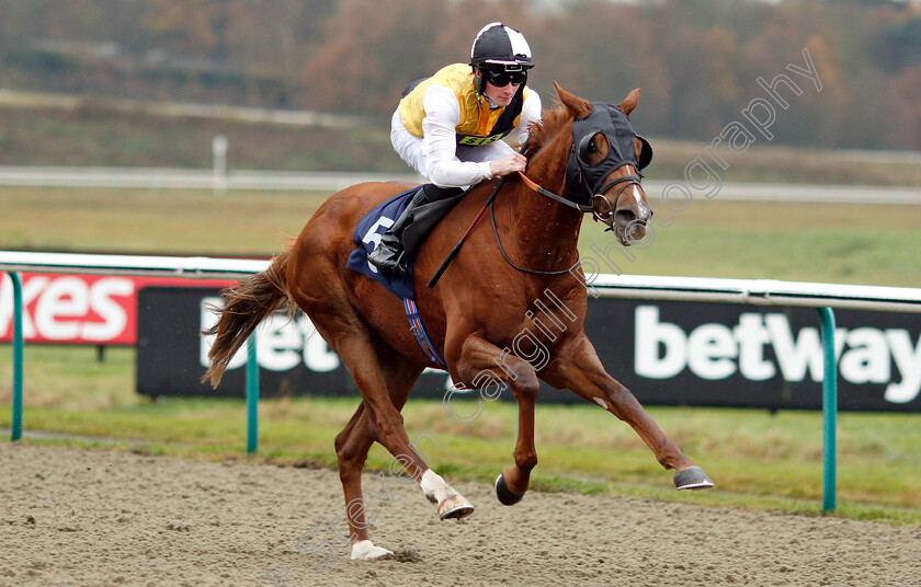 True-Destiny-0005 
 TRUE DESTINY (Adam McNamara) wins The Betway Stayers Handicap Div2
Lingfield 20 Nov 2018 - Pic Steven Cargill / Racingfotos.com