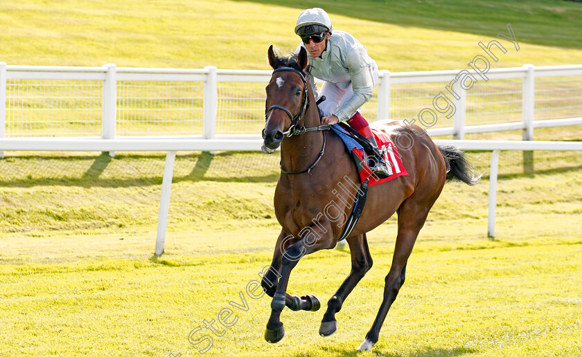 Palace-Pier-0001 
 PALACE PIER (Frankie Dettori) winner of The Betway British EBF Maiden Stakes
Sandown 30 Aug 2019 - Pic Steven Cargill / Racingfotos.com