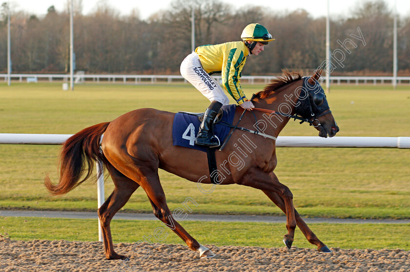 Rock-On-Baileys-0001 
 ROCK ON BAILEYS (Lewis Edmunds)
Wolverhampton 3 Jan 2020 - Pic Steven Cargill / Racingfotos.com