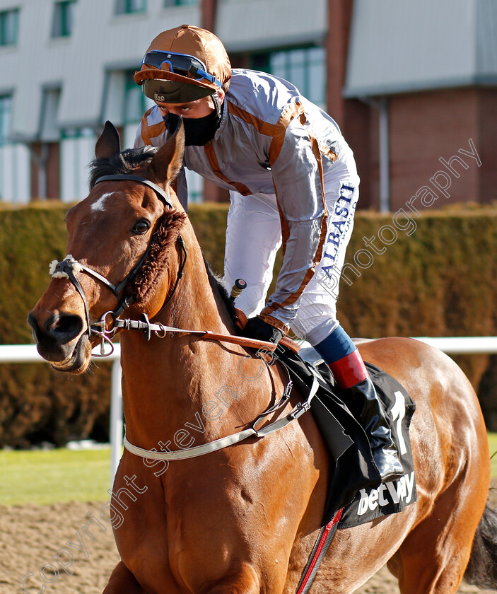 Summerghand-0001 
 SUMMERGHAND (Adam Kirby)
Wolverhampton 13 Mar 2021 - Pic Steven Cargill / Racingfotos.com