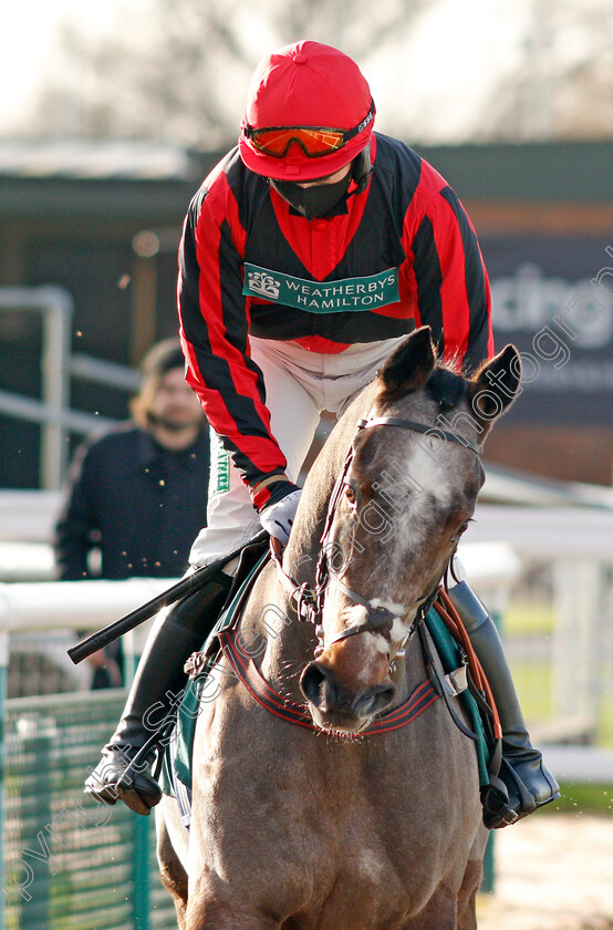 Graystone-0001 
 GRAYSTONE (Bryony Frost) winner of The Agetur UK Ltd Juvenile Maiden Hurdle
Warwick 9 Dec 2021 - Pic Steven Cargill / Racingfotos.com