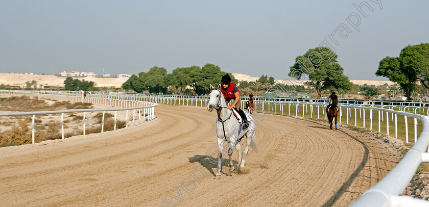 Lord-Glitters-0001 
 LORD GLITTERS training for the Bahrain International Trophy
Rashid Equestrian & Horseracing Club, Bahrain, 19 Nov 2020 - Pic Steven Cargill / Racingfotos.com