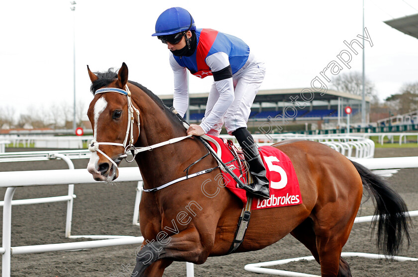 War-Leader-0002 
 WAR LEADER (Martin Harley)
Kempton 27 Mar 2021 - Pic Steven Cargill / Racingfotos.com