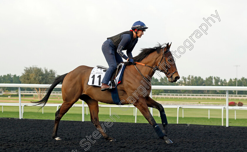 Equilateral-0002 
 EQUILATERAL training at the Dubai Racing Carnival 
Meydan 4 Jan 2024 - Pic Steven Cargill / Racingfotos.com