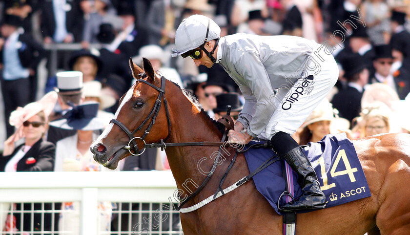 Red-Balloons-0001 
 RED BALLOONS (Daniel Tudhope)
Royal Ascot 20 Jun 2018 - Pic Steven Cargill / Racingfotos.com