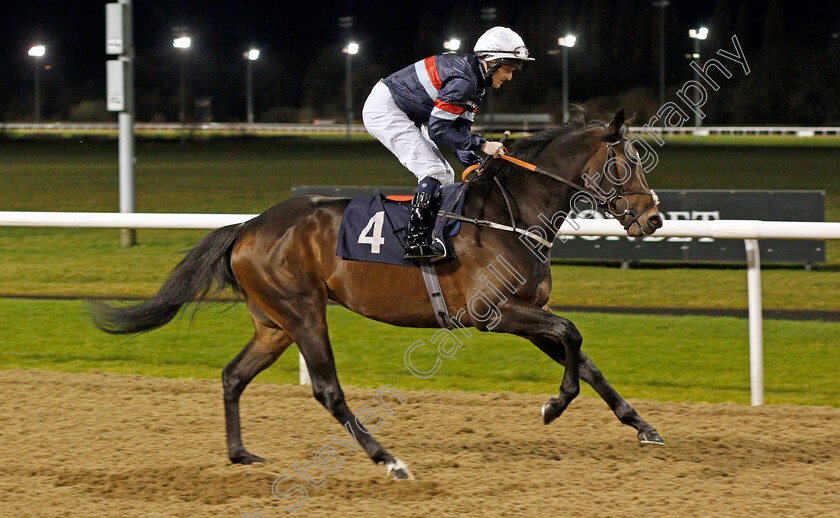 Regal-Envoy 
 REGAL ENVOY (Liam Keniry)
Wolverhampton 11 Mar 2022 - Pic Steven Cargill / Racingfotos.com