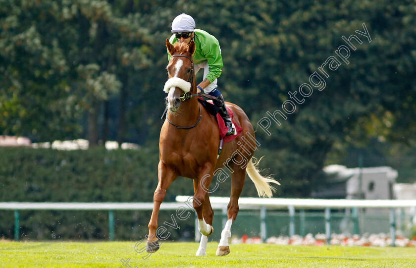 Flying-Barty-0002 
 FLYING BARTY (Kevin Stott)
Haydock 2 Sep 2022 - Pic Steven Cargill / Racingfotos.com