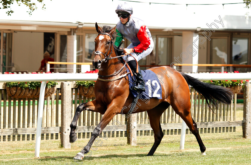 Happy-Odyssey-0001 
 HAPPY ODYSSEY (Tom Marquand) before winning The England V Belgium Specials At 188bet Novice Auction Stakes
Newmarket 28 Jun 2018 - Pic Steven Cargill / Racingfotos.com