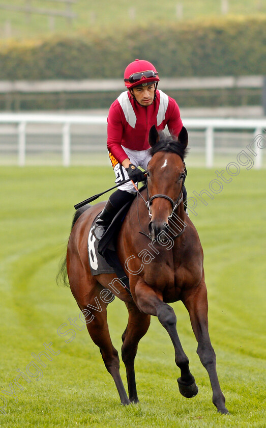 Savaanah-0001 
 SAVAANAH (Silvestre De Sousa) Goodwood 27 Sep 2017 - Pic Steven Cargill / Racingfotos.com