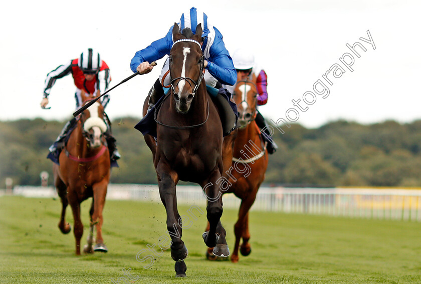 Shabaaby-0003 
 SHABAABY (Jim Crowley) wins The Irish Stallion Farms EBF Stakes Doncaster 13 Sep 2017 - Pic Steven Cargill / Racingfotos.com