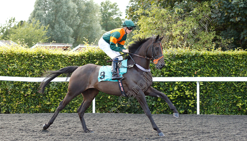 Thunderoad-0001 
 THUNDEROAD (George Downing)
Kempton 10 Jul 2019 - Pic Steven Cargill / Racingfotos.com