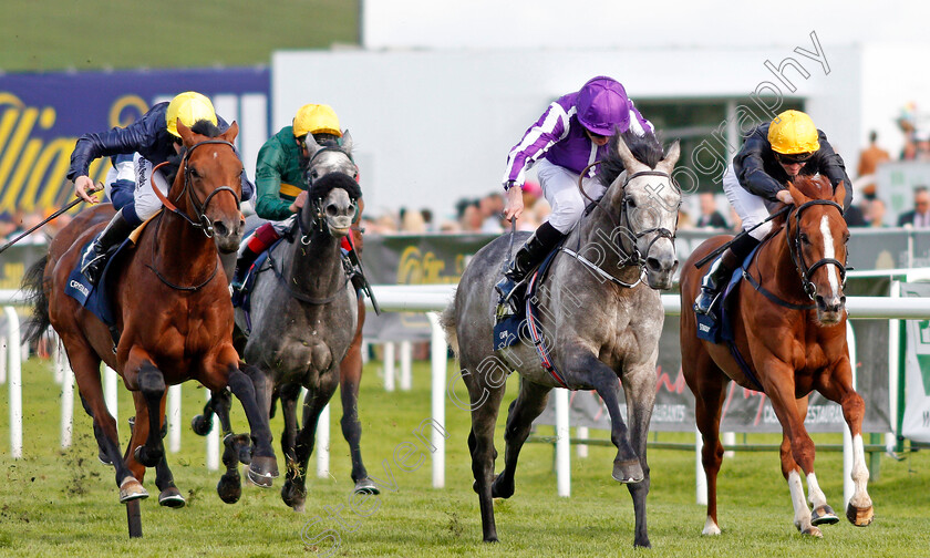 Capri-0006 
 CAPRI (centre, Ryan Moore) beats CRYSTAL OCEAN (left) and STRADIVARIUS (right) in The William Hill St Leger Doncaster 16 Sep 2017 - Pic Steven Cargill / Racingfotos.com