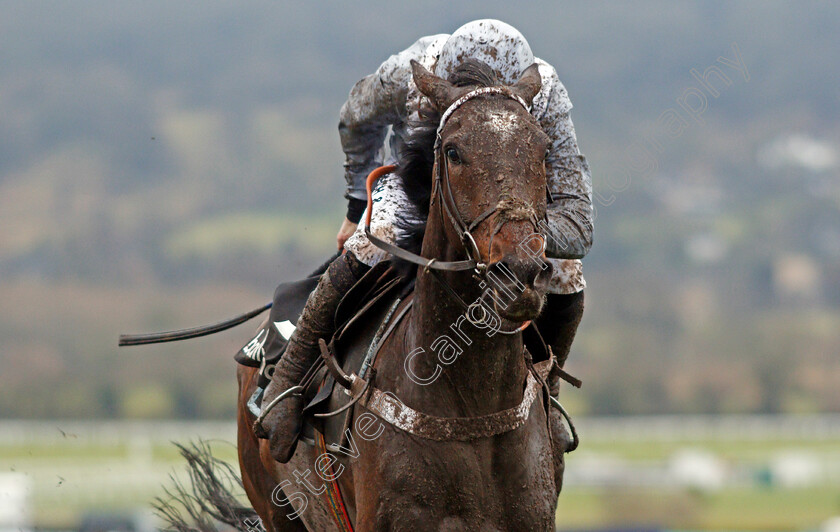 Santini-0004 
 SANTINI (Jeremiah McGrath) wins The Ballymore Classic Novices Hurdle Cheltenham 27 Jan 2018 - Pic Steven Cargill / Racingfotos.com