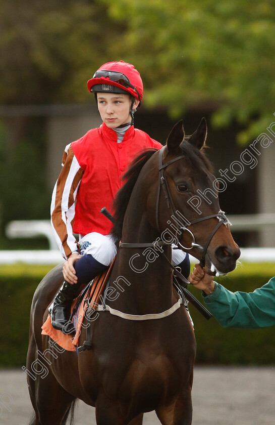 Warbler-0002 
 WARBLER (Billy Loughnane)
Kempton 12 Jun 2024 - Pic Steven Cargill / Racingfotos.com