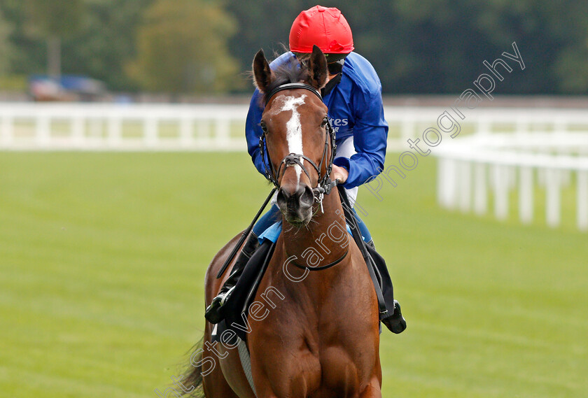 Renaissance-Rose-0002 
 RENAISSANCE ROSE (William Buick)
Ascot 25 Jul 2020 - Pic Steven Cargill / Racingfotos.com