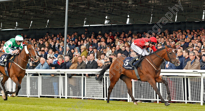 Ice-Age-0001 
 ICE AGE (Charlie Bishop) wins The Irish Stallion Farms EBF Bold Lad Sprint Handicap Curragh 10 Sep 2017 - Pic Steven Cargill / Racingfotos.com