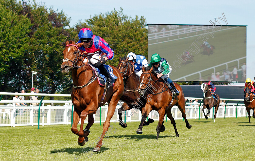 Decora-0001 
 DECORA (Trevor Whelan) wins The Follow @mansionbet Handicap
Salisbury 8 Jun 2021 - Pic Steven Cargill / Racingfotos.com