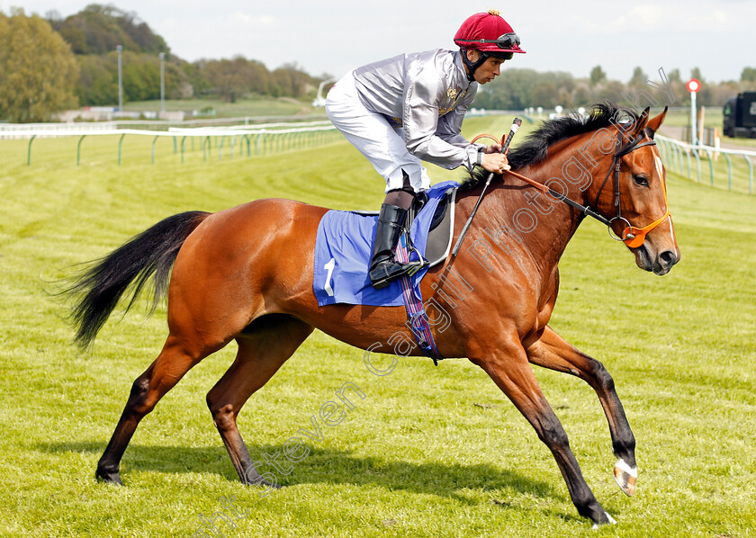 Mushtaq-0002 
 MUSHTAQ (Sean Levey) Nottingham 1 May 2018 - Pic Steven Cargill / Racingfotos.com