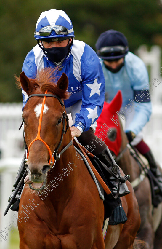 Flintstone-0001 
 FLINTSTONE (Sam Hitchcott)
Newbury 10 Jun 2021 - Pic Steven Cargill / Racingfotos.com