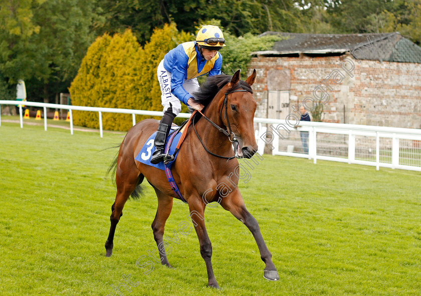 Final-Set-0001 
 FINAL SET (Ryan Moore) Salisbury 7 Sep 2017 - Pic Steven Cargill / Racingfotos.com