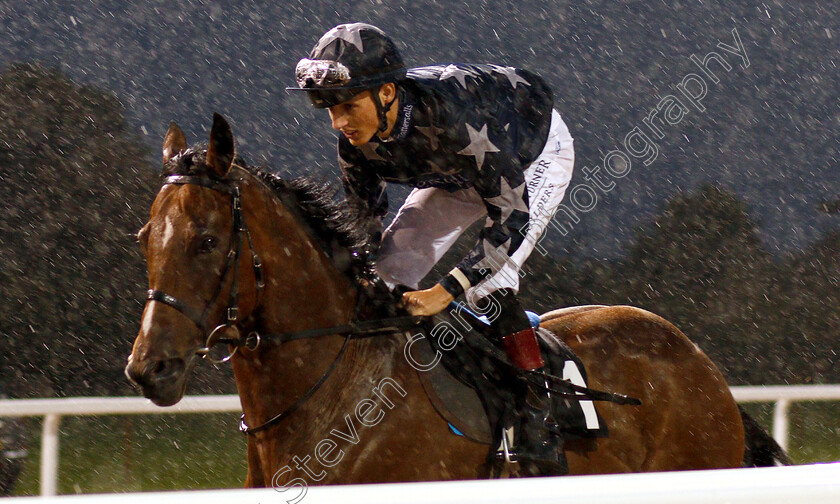 Highfaluting-0001 
 HIGHFALUTING (George Wood)
Chelmsford 6 Sep 2018 - Pic Steven Cargill / Racingfotos.com