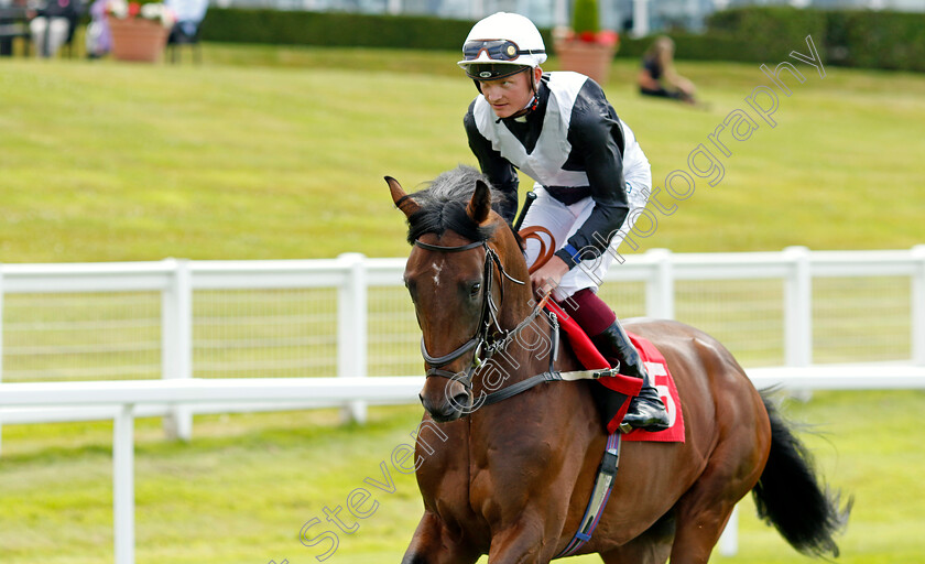 Enochdhu 
 ENOCHDHU (Rob Hornby)
Sandown 1 Jul 2022 - Pic Steven Cargill / Racingfotos.com