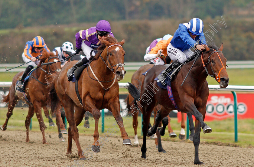 Rajaam-0004 
 RAJAAM (right, Sean Levey) beats KEY PLAYER (left) in The 32Red.com/EBF Novice Stakes Lingfield 21 Nov 2017 - Pic Steven Cargill / Racingfotos.com