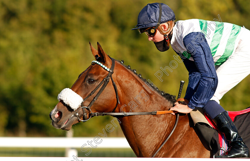 Auriferous-0001 
 AURIFEROUS (Rob Hornby)
Chelmsford 22 Aug 2020 - Pic Steven Cargill / Racingfotos.com