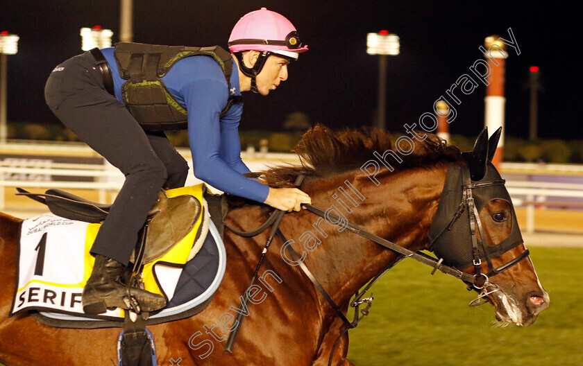 Serifos-0001 
 SERIFOS training for The Dubai Turf
Meydan, Dubai, 22 Mar 2023 - Pic Steven Cargill / Racingfotos.com