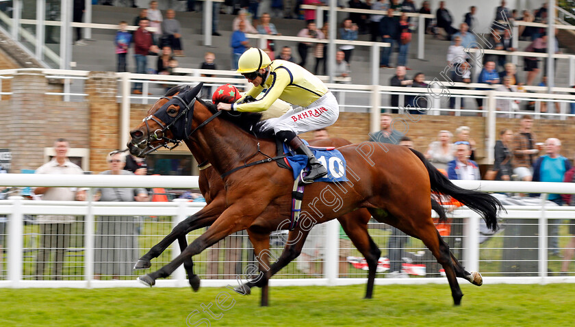 Unique-Cut-0004 
 UNIQUE CUT (Robert Havlin) wins The Sorvio Insurance Brokers Novice Stakes Div1
Salisbury 12 Aug 2021 - Pic Steven Cargill / Racingfotos.com