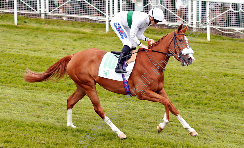 Shailene-0001 
 SHAILENE (David Probert)
Chester 9 May 2018 - Pic Steven Cargill / Racingfotos.com