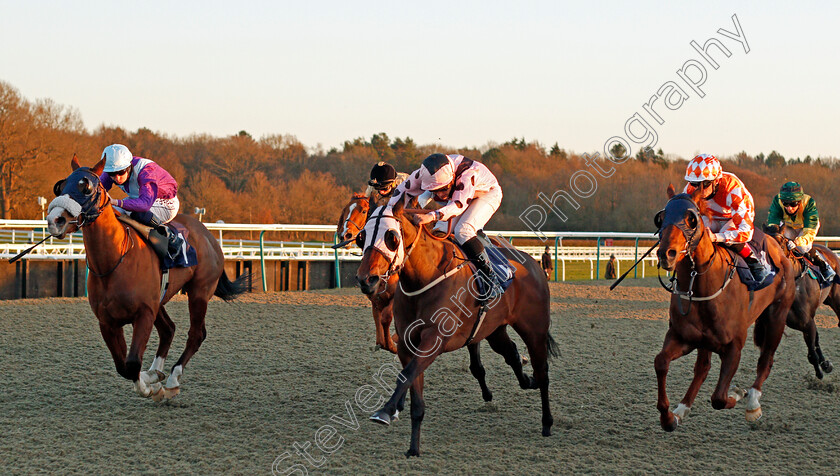 Hotalena-0004 
 HOTALENA (centre, Pierre-Louis Jamin) beats EXPERT OPINION (left) and MARTA BOY (right) in The Ladbrokes Watch Racing Online For Free Handicap
Lingfield 26 Feb 2021 - Pic Steven Cargill / Racingfotos.com