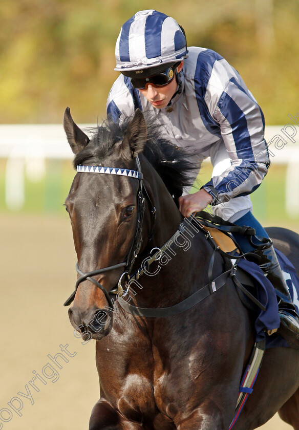 Suwad 
 SUWAD (William Buick)
Lingfield 28 Oct 2021 - Pic Steven Cargill / Raingfotos.com