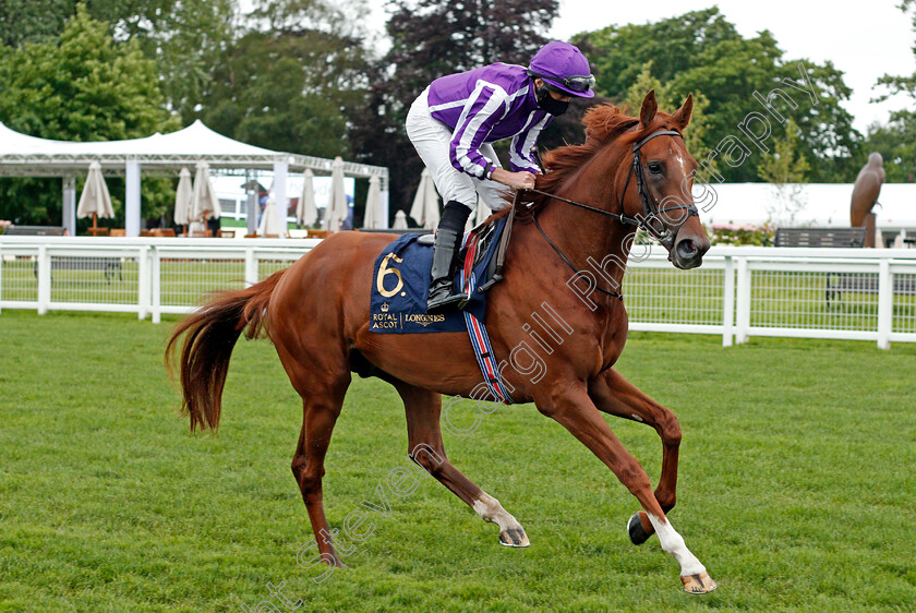 The-Mediterranean-0001 
 THE MEDITERRANEAN (Ryan Moore)
Ascot 18 Jun 2021 - Pic Steven Cargill / Racingfotos.com