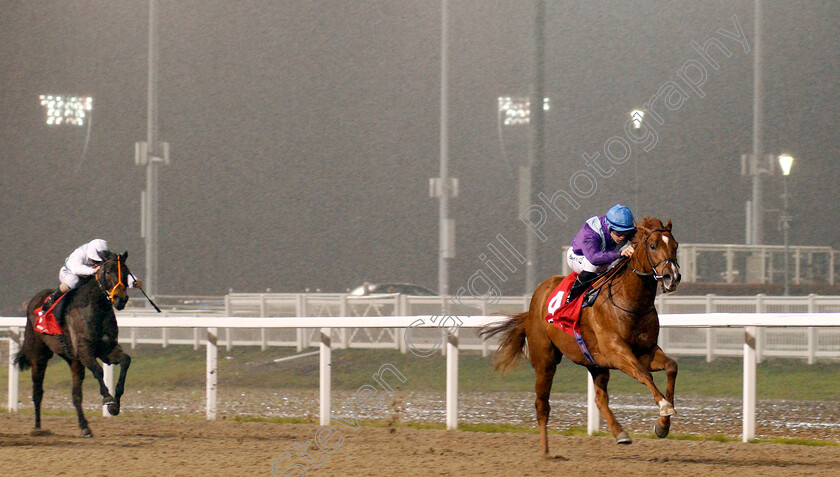 Great-Ambassador-0004 
 GREAT AMBASSADOR (Richard Kingscote) wins The Matchbook EBF Future Stayers Novice Stakes
Chelmsford 28 Nov 2019 - Pic Steven Cargill / Racingfotos.com