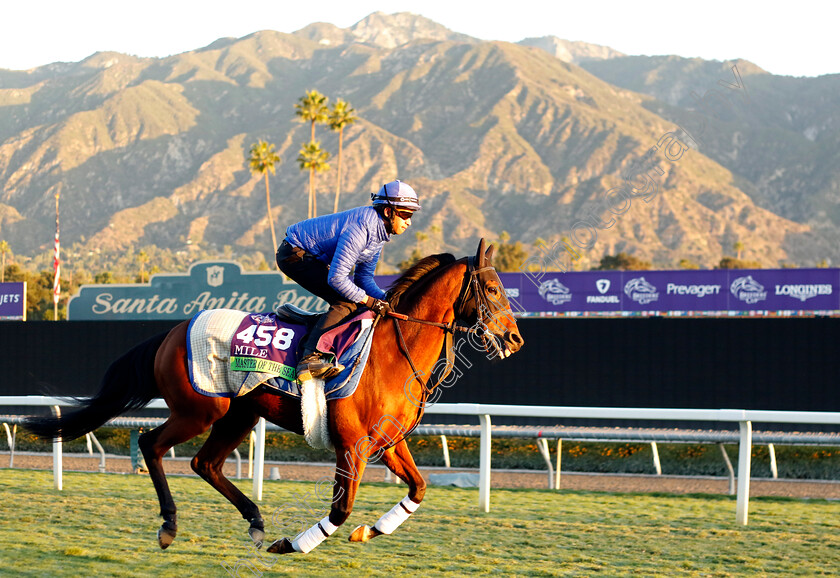 Master-Of-The-Seas-0002 
 MASTER OF THE SEAS training for the Breeders' Cup Mile
Santa Anita USA, 1 Nov 2023 - Pic Steven Cargill / Racingfotos.com