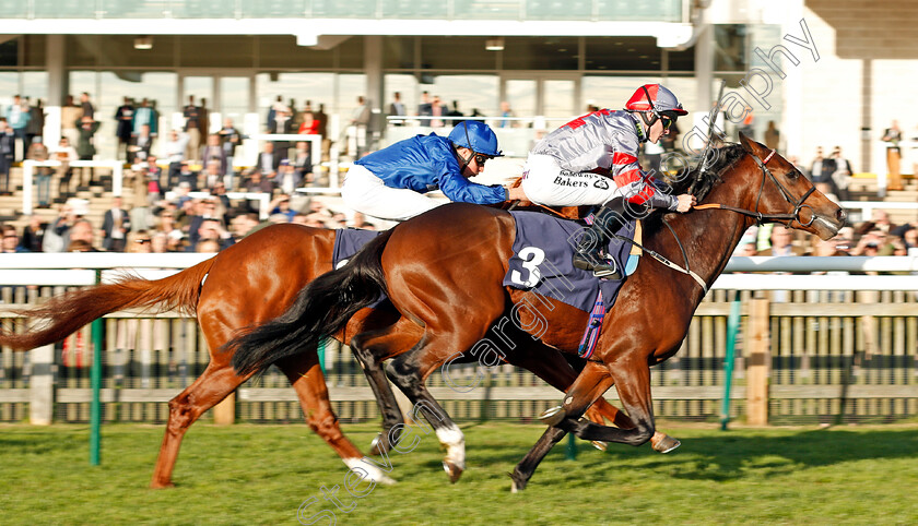 Knight-To-Behold-0003 
 KNIGHT TO BEHOLD (Richard Kingscote) wins The British EBF Racing UK Novice Stakes Newmarket 25 Oct 2017 - Pic Steven Cargill / Racingfotos.com