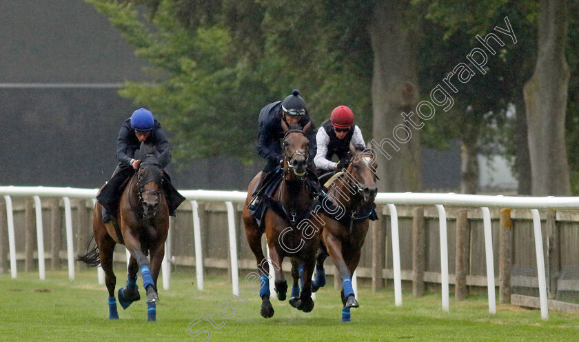 Emily-Upjohn-0005 
 EMILY UPJOHN (left, William Buick) in racecourse gallop with MIMIKYU (centre) and SOUL SISTER (right)
Newmarket 1 Jul 2023 - Pic Steven Cargill / Racingfotos.com