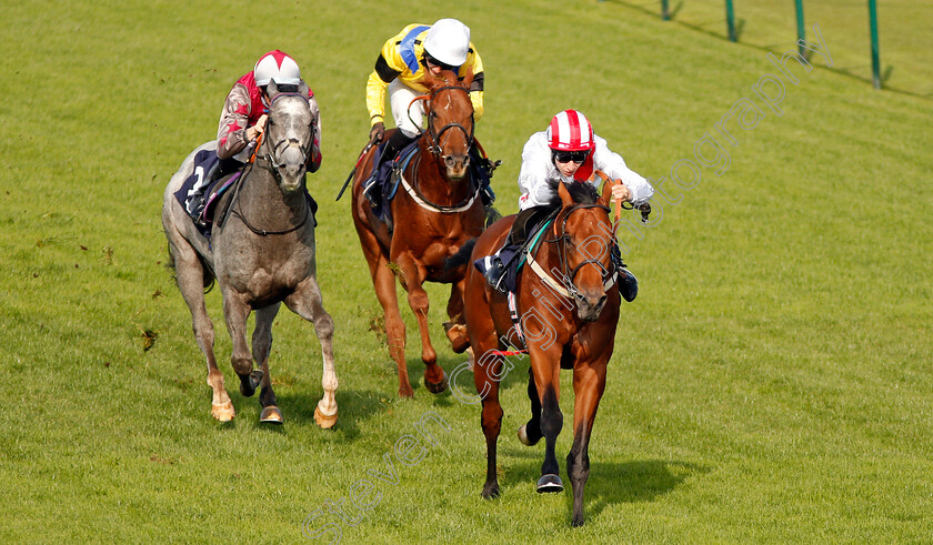 Foreseeable-Future-0004 
 FORSEEABLE FUTURE (Luke Morris) beats ELITE SHADOW (left) and PRANCEABOOTTHETOON (yellow) in The British EBF Novice Stakes Yarmouth 16 Oct 2017 - Pic Steven Cargill / Racingfotos.com