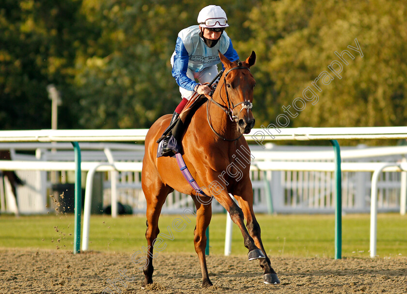 Rick-Blaine-0001 
 RICK BLAINE (Rob Hornby)
Lingfield 5 Aug 2020 - Pic Steven Cargill / Racingfotos.com