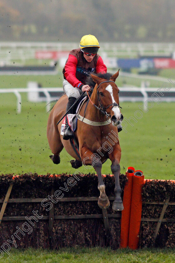 Pacify-0001 
 PACIFY (Gavin Sheehan)
Cheltenham 17 Nov 2019 - Pic Steven Cargill / Racingfotos.com