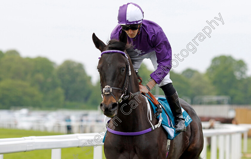 Cuban-Thunder-0008 
 CUBAN THUNDER (Kevin Stott) winner of The Frank Whittle Partnership ebfstallions.com Maiden Stakes
York 18 May 2023 - Pic Steven Cargill / Racingfotos.com