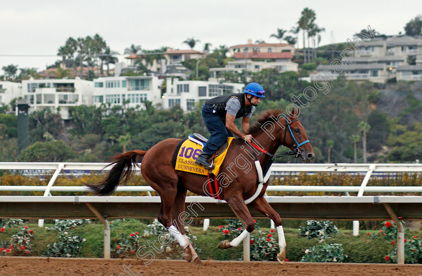 Gunnevera-0001 
 GUNNEVERA exercising at Del Mar USA in preparation for The Breeders' Cup Classic 30 Oct 2017 - Pic Steven Cargill / Racingfotos.com