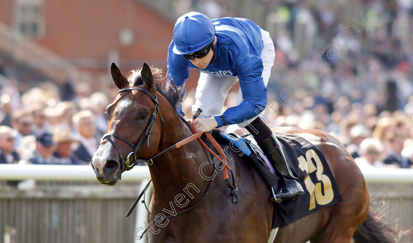 Light-And-Dark-0005 
 LIGHT AND DARK (Callum Shepherd) wins The Porsche Centre Cambridge Handicap
Newmarket 12 Jul 2019 - Pic Steven Cargill / Racingfotos.com