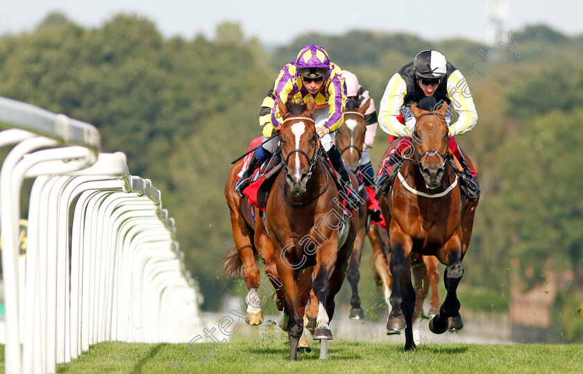 Skyman-0007 
 SKYMAN (left, Jason Watson) beats DARGEL (right) in The Betway Live Casino Handicap
Sandown 30 Aug 2019 - Pic Steven Cargill / Racingfotos.com